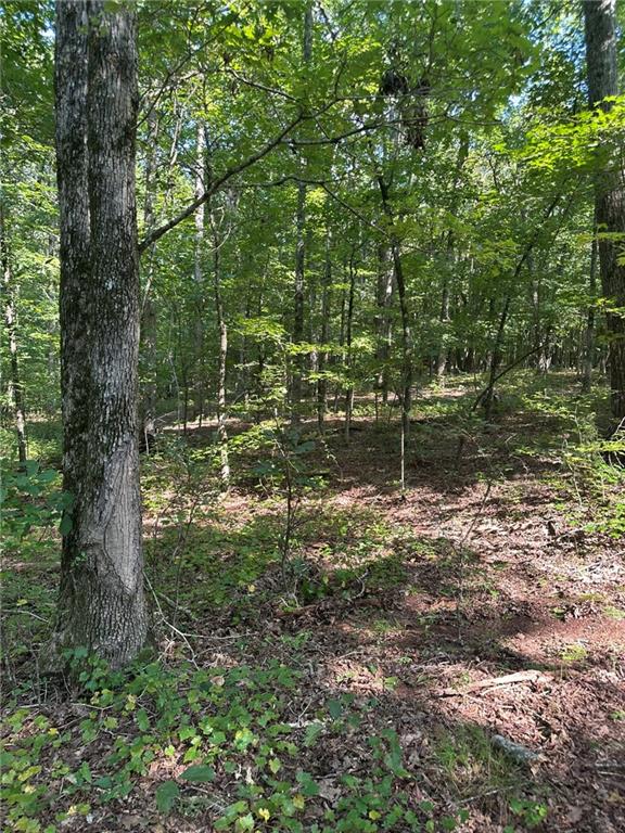 0 Fears Road Madison, GA 30650 - Photo 14 of 14 a backyard of a house with lots of green space