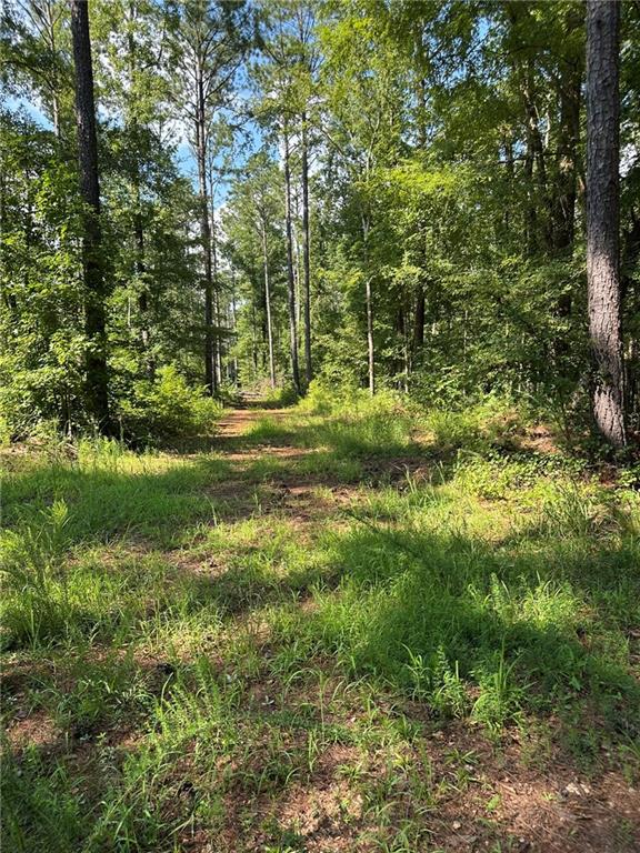 0 Fears Road Madison, GA 30650 - Photo 4 of 14 a big yard with lots of green space and trees