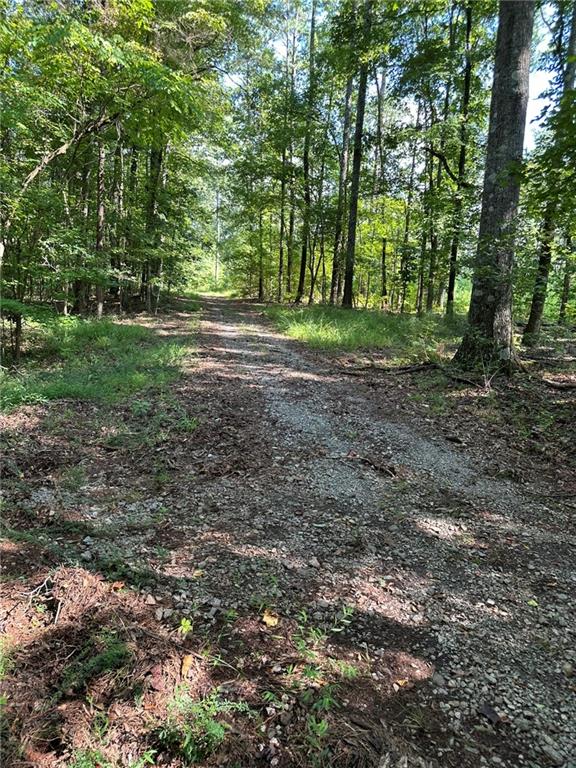 0 Fears Road Madison, GA 30650 - Photo 5 of 14 a view of outdoor space with trees