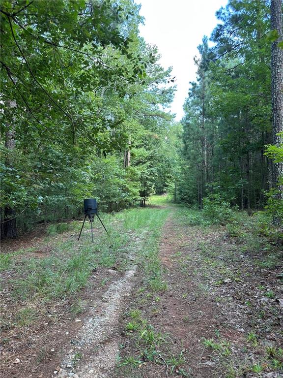 0 Fears Road Madison, GA 30650 - Photo 7 of 14 a view of a yard