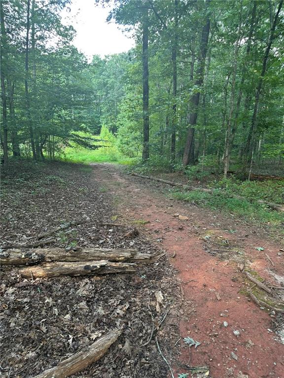 0 Fears Road Madison, GA 30650 - Photo 8 of 14 a view of outdoor space with trees all around