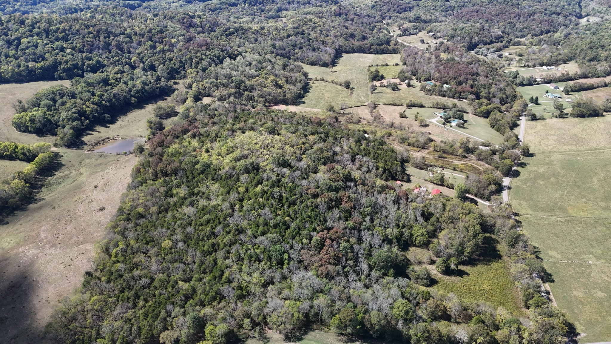 1085 Hawkins Branch Road Bethpage, TN 37022 - Photo 4 of 15 a view of a yard with a tree