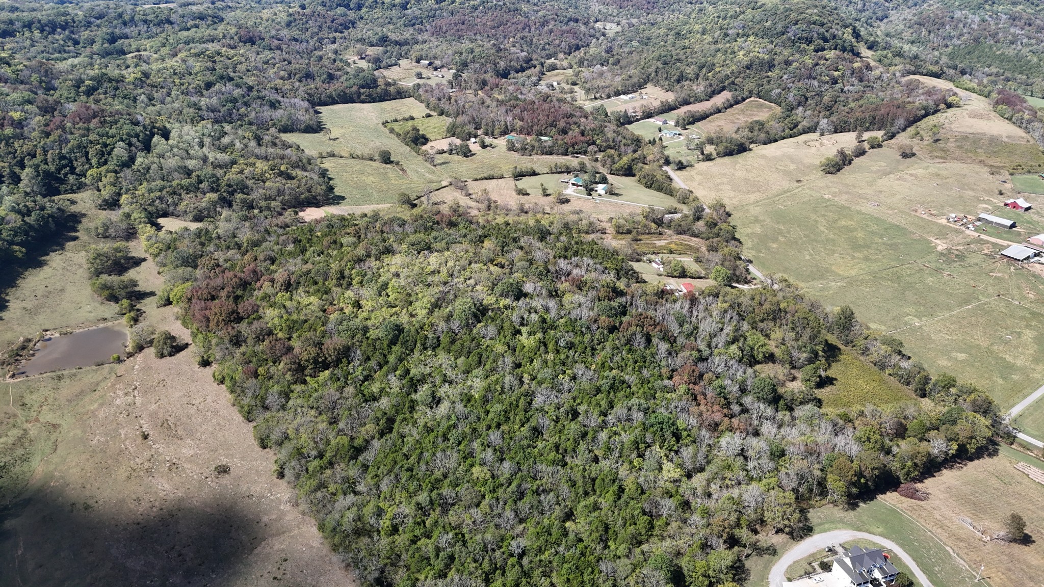 1085 Hawkins Branch Road Bethpage, TN 37022 - Photo 5 of 15 view of a yard with a tree