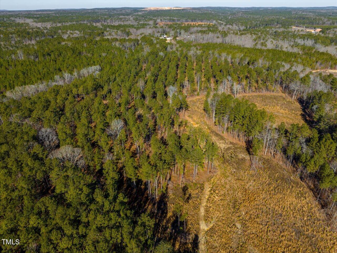 2 Robedo Rd Mount Mount Gilead, NC 27306 - Photo 13 of 28 14-014-Tract2-RobedoRd-MontgomeryCounty-