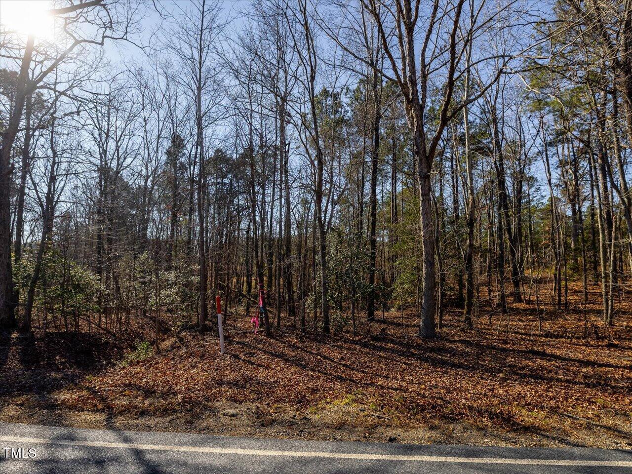 2 Robedo Rd Mount Mount Gilead, NC 27306 - Photo 16 of 28 18-018-Tract2-RobedoRd-MontgomeryCounty-