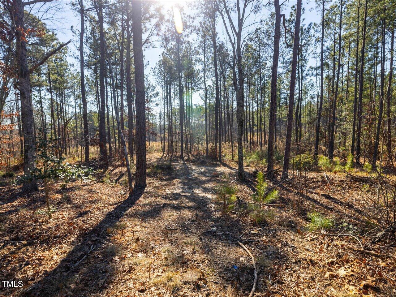 2 Robedo Rd Mount Mount Gilead, NC 27306 - Photo 21 of 28 24-024-Tract2-RobedoRd-MontgomeryCounty-