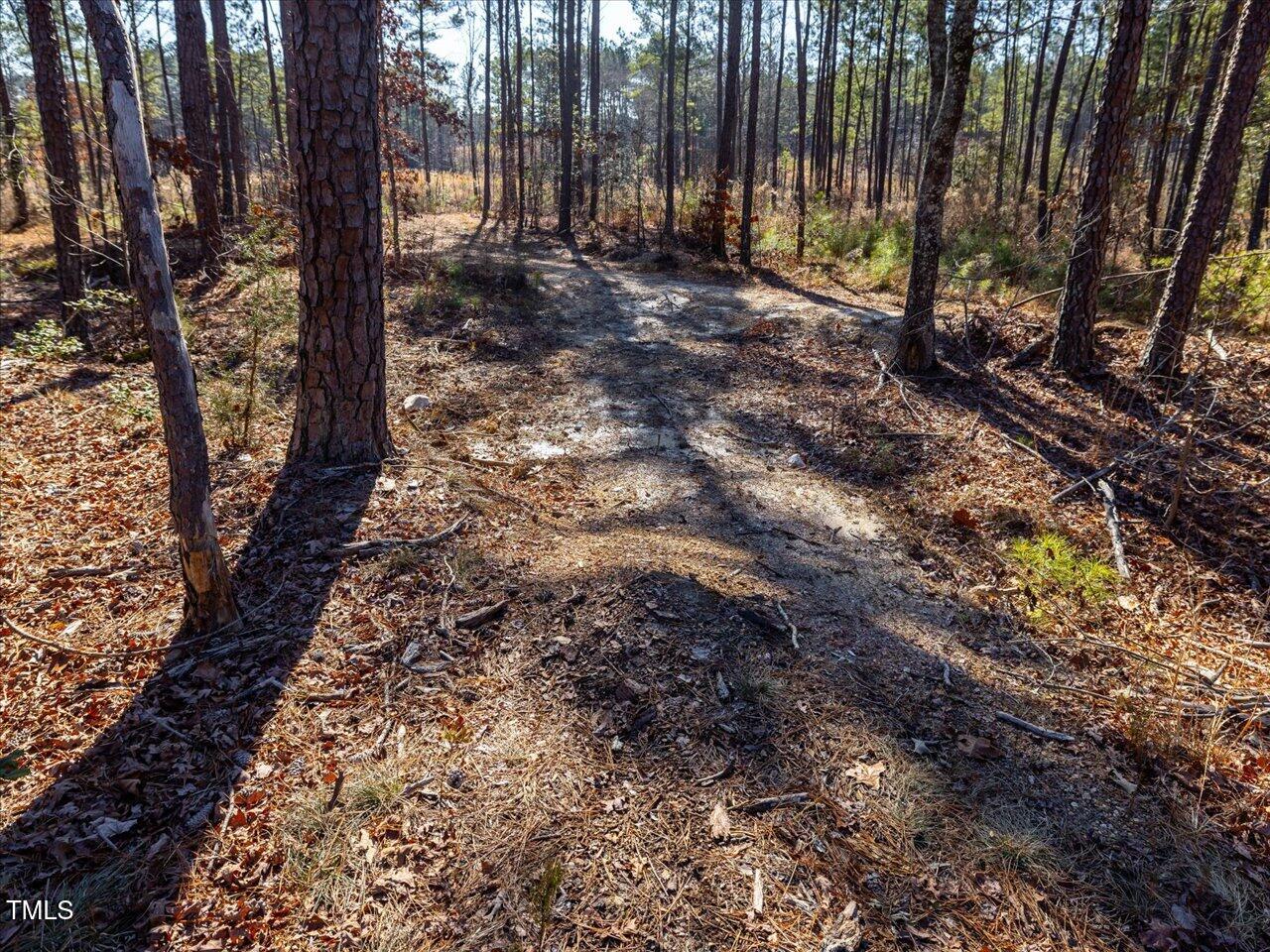2 Robedo Rd Mount Mount Gilead, NC 27306 - Photo 22 of 28 25-025-Tract2-RobedoRd-MontgomeryCounty-