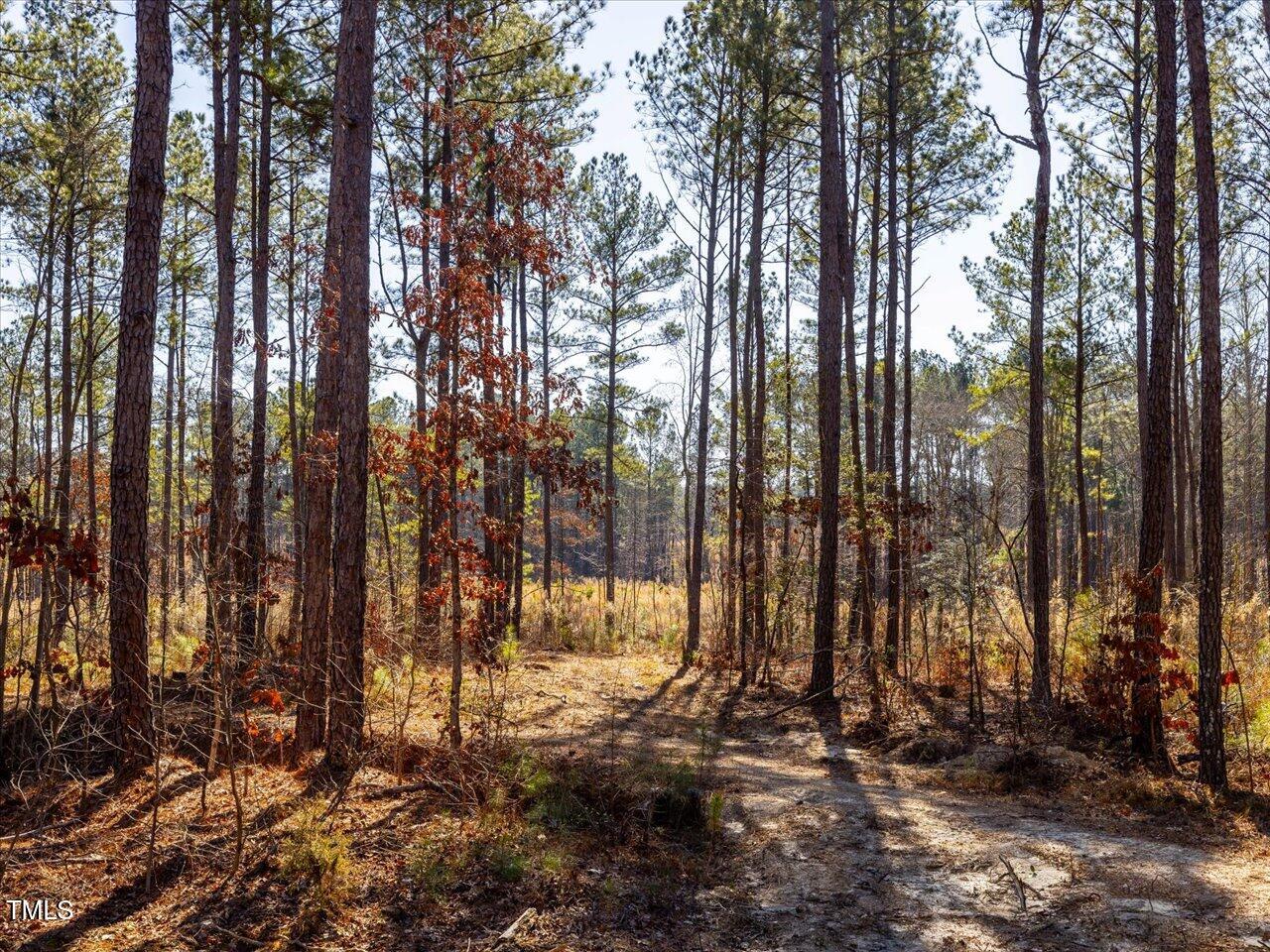 2 Robedo Rd Mount Mount Gilead, NC 27306 - Photo 23 of 28 27-027-Tract2-RobedoRd-MontgomeryCounty-
