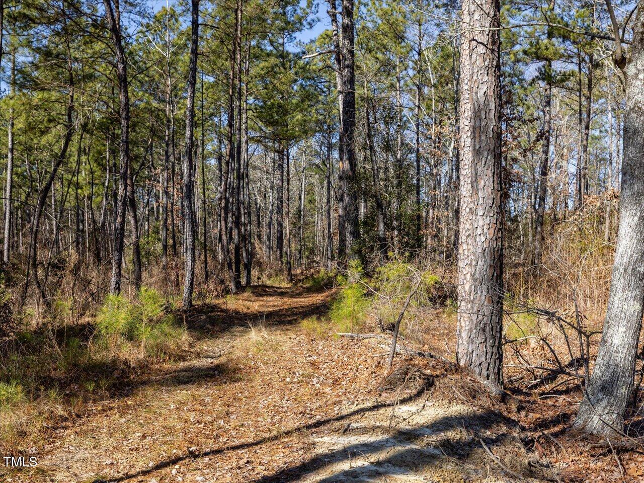 2 Robedo Rd Mount Mount Gilead, NC 27306 - Photo 24 of 28 28-028-Tract2-RobedoRd-MontgomeryCounty-
