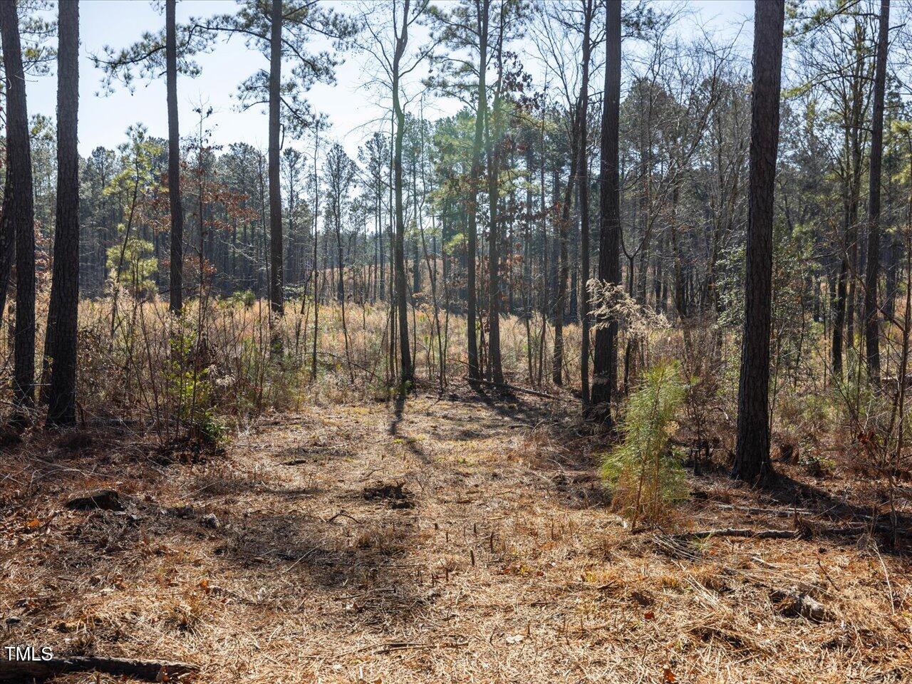 2 Robedo Rd Mount Mount Gilead, NC 27306 - Photo 27 of 28 31-031-Tract2-RobedoRd-MontgomeryCounty-