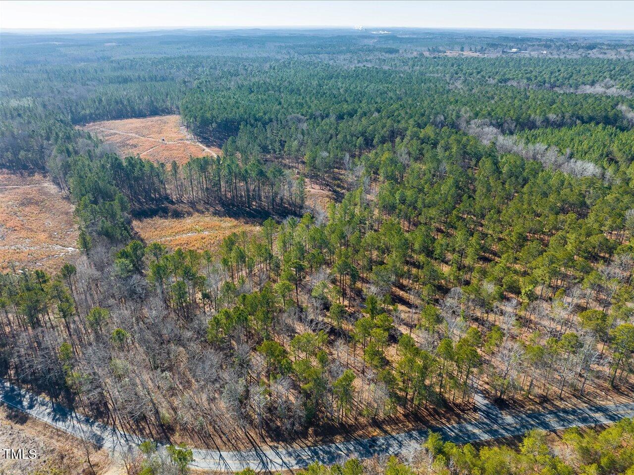 2 Robedo Rd Mount Mount Gilead, NC 27306 - Photo 3 of 28 03-003-Tract2-RobedoRd-MontgomeryCounty-