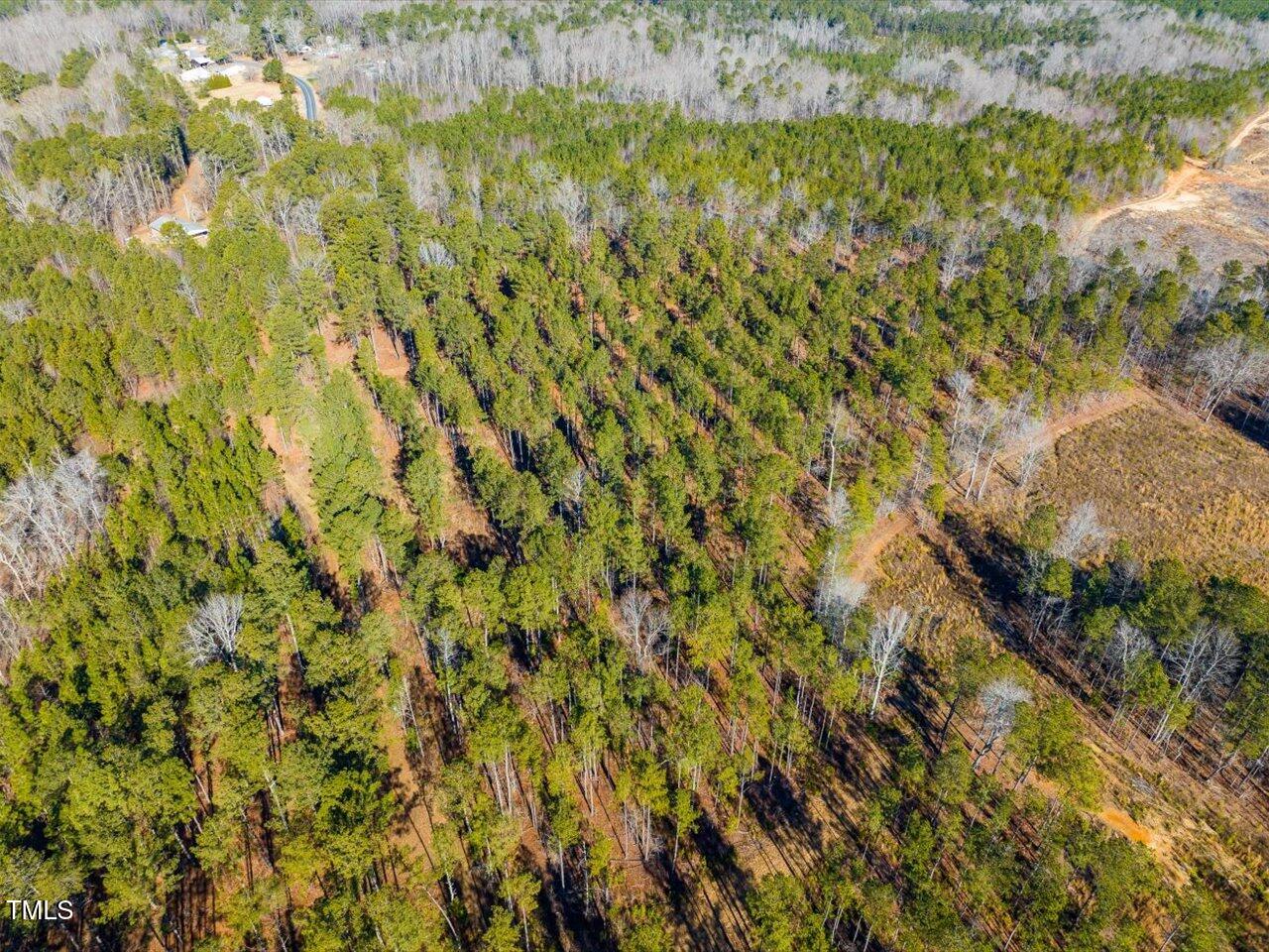 2 Robedo Rd Mount Mount Gilead, NC 27306 - Photo 10 of 28 10-010-Tract2-RobedoRd-MontgomeryCounty-