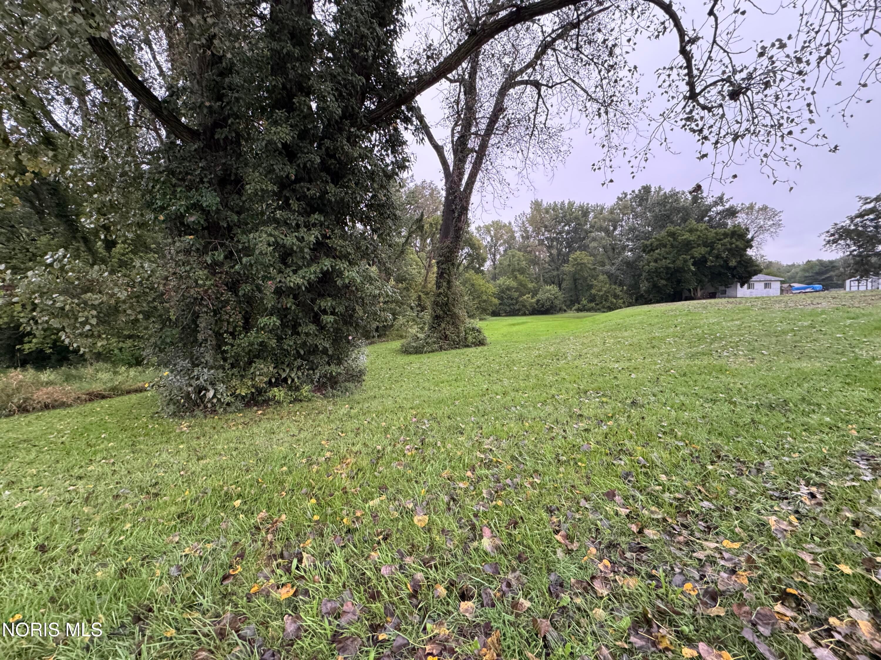 13722 Brindley Road Swanton, OH 43558 - Photo 4 of 9 Gallery Image 4
