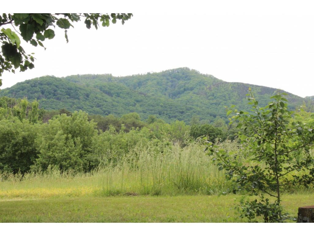 735 Doyle Davis Road Greeneville, TN 37743 - Photo 6 of 20 Photo 6