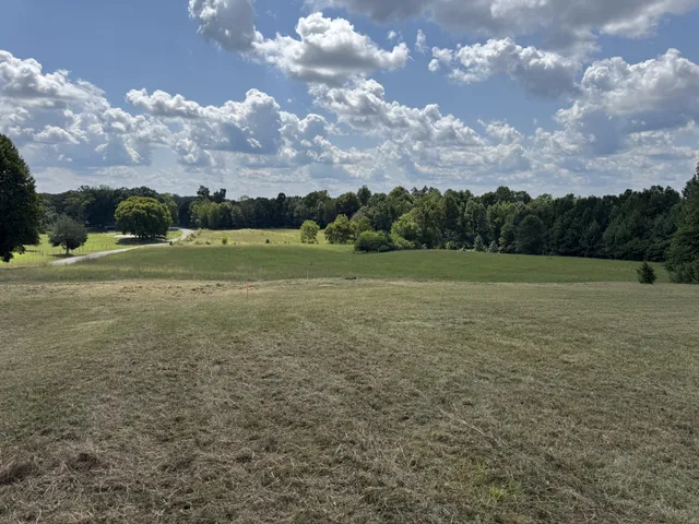 a view of field with an ocean