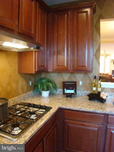 82 Backstretch Way Prince Frederick, MD 20678 - Photo 3 of 4 Kitchen #2
