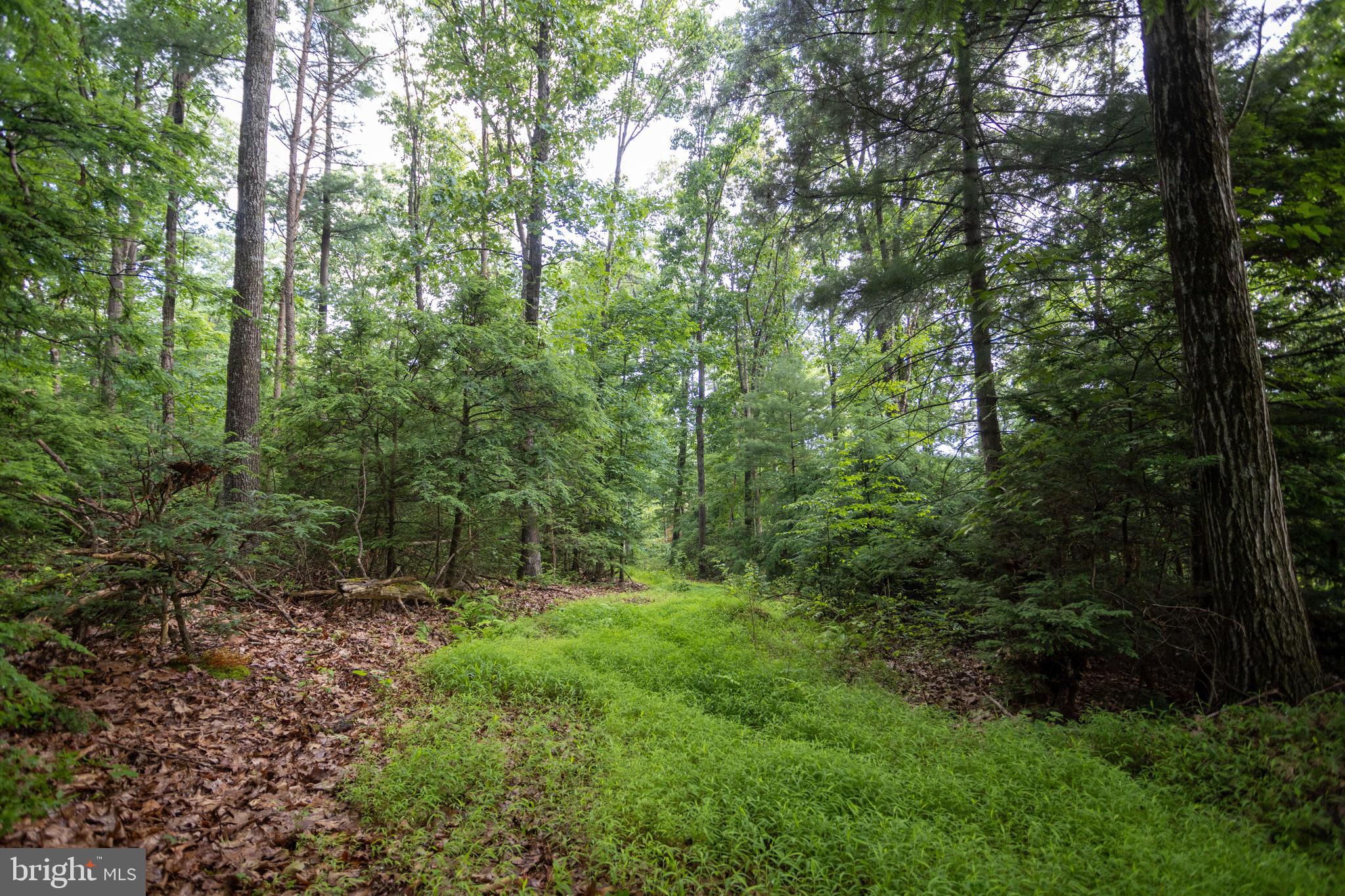 3125 Buckwheat Road Millerstown, PA 17062 - Photo 21 of 38