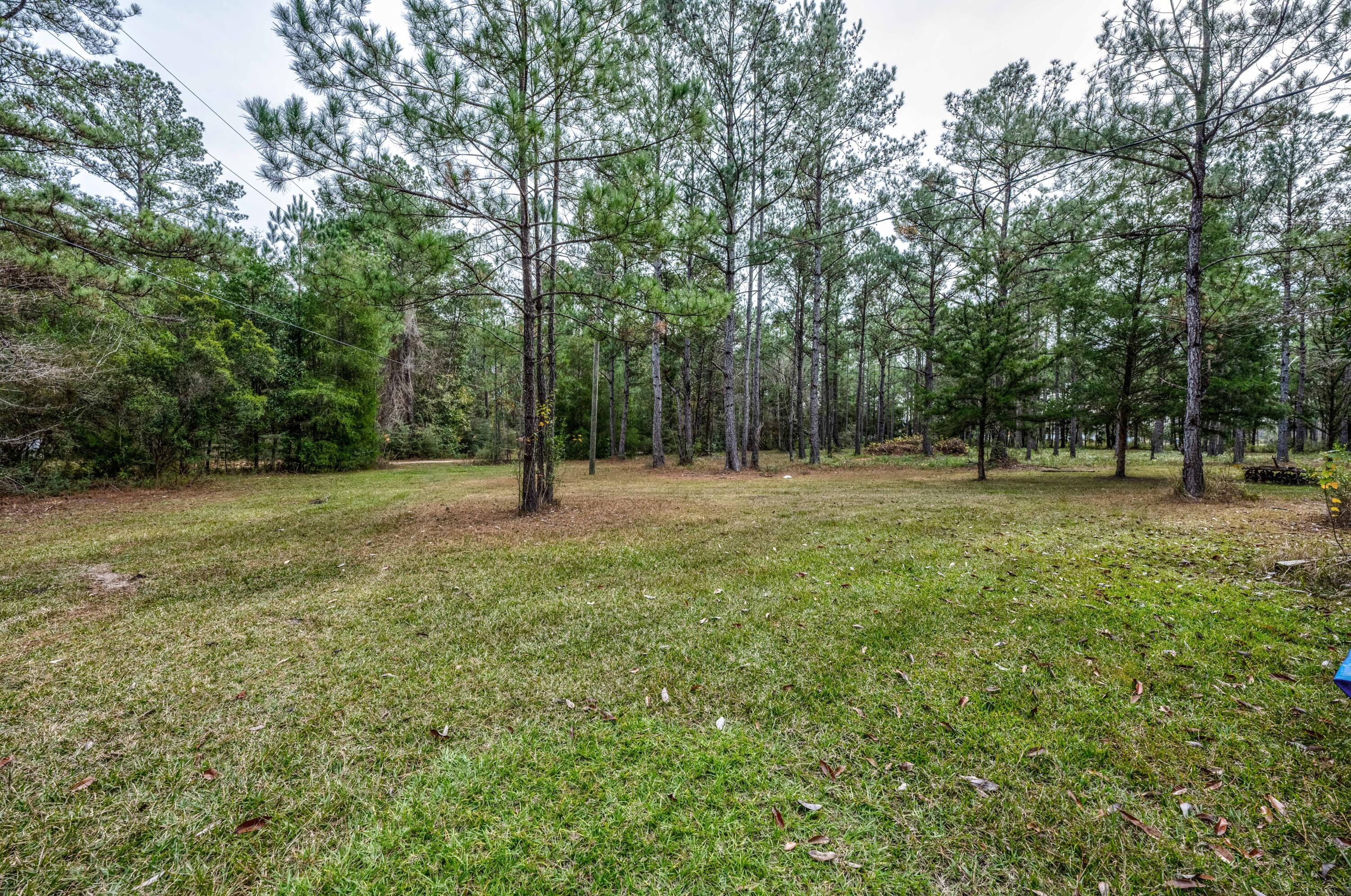 248 Bunny Lane Freeport, FL 32439 - Photo 2 of 27 a backyard of a house with lots of green space