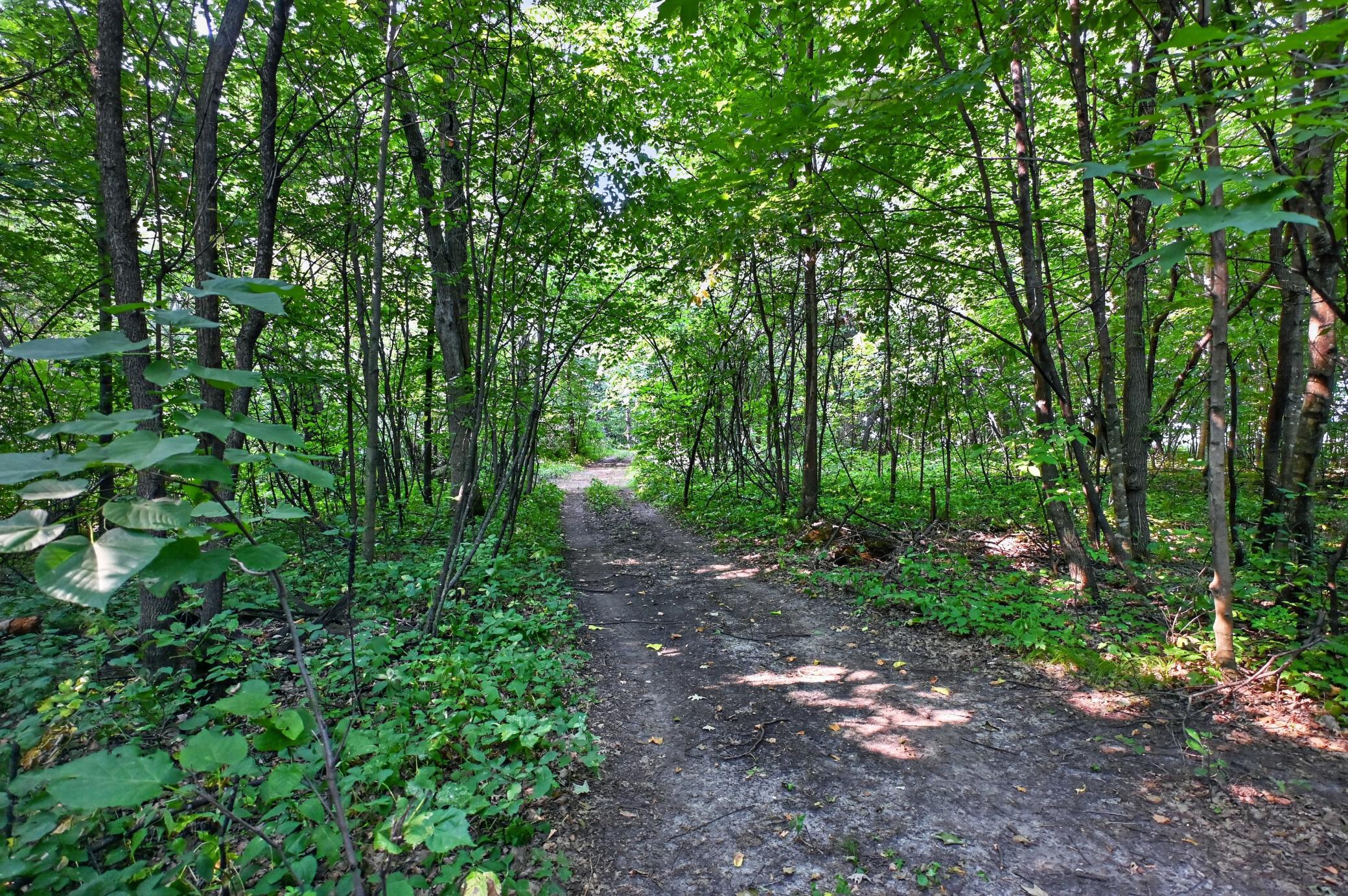 Tbd Johnson Road Northeast Nelson, MN 56355 - Photo 11 of 19