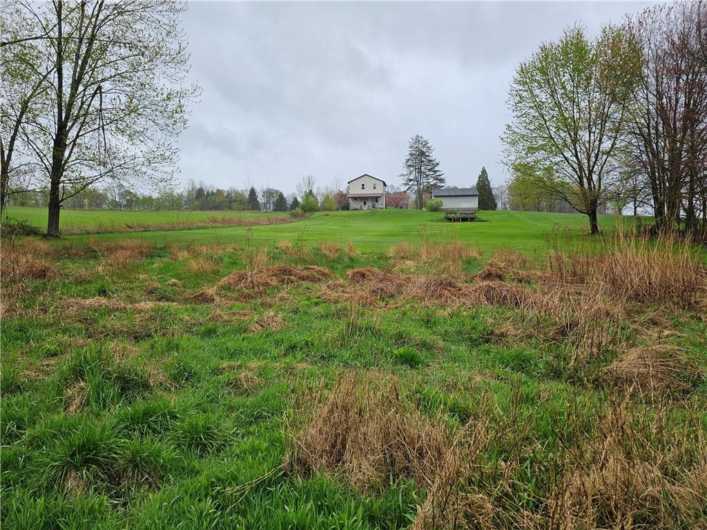 1903 Sandy Lake-Grove City Road Jackson Center, PA 16133 - Photo 24 of 24 a view of a green field with trees in the background