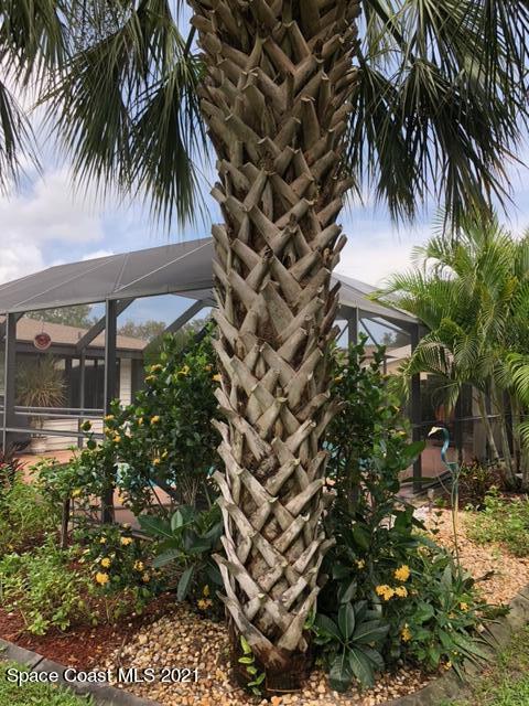 1291 Creel Road Northeast Palm Bay, FL 32905 - Photo 23 of 31 a view of a backyard