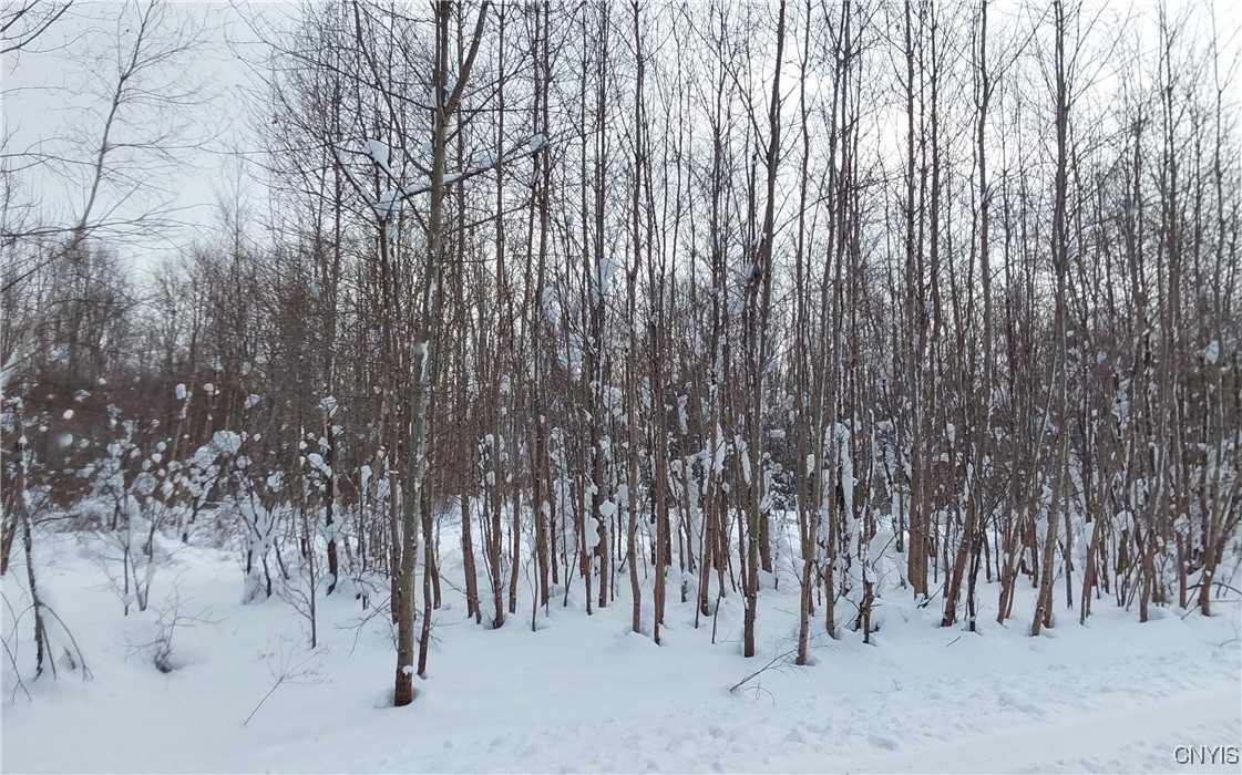 365 Nys Rt Prospect, NY 13435 - Photo 11 of 19