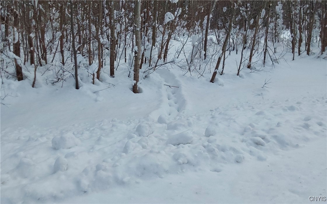 365 Nys Rt Prospect, NY 13435 - Photo 12 of 19