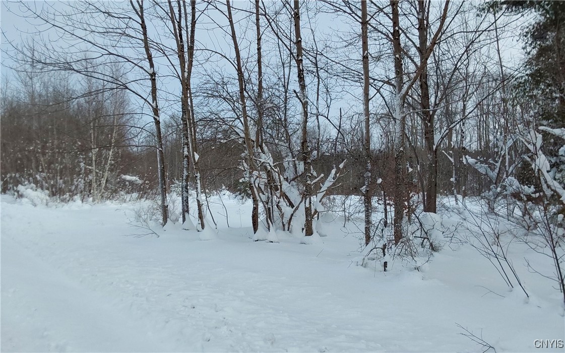 365 Nys Rt Prospect, NY 13435 - Photo 14 of 19