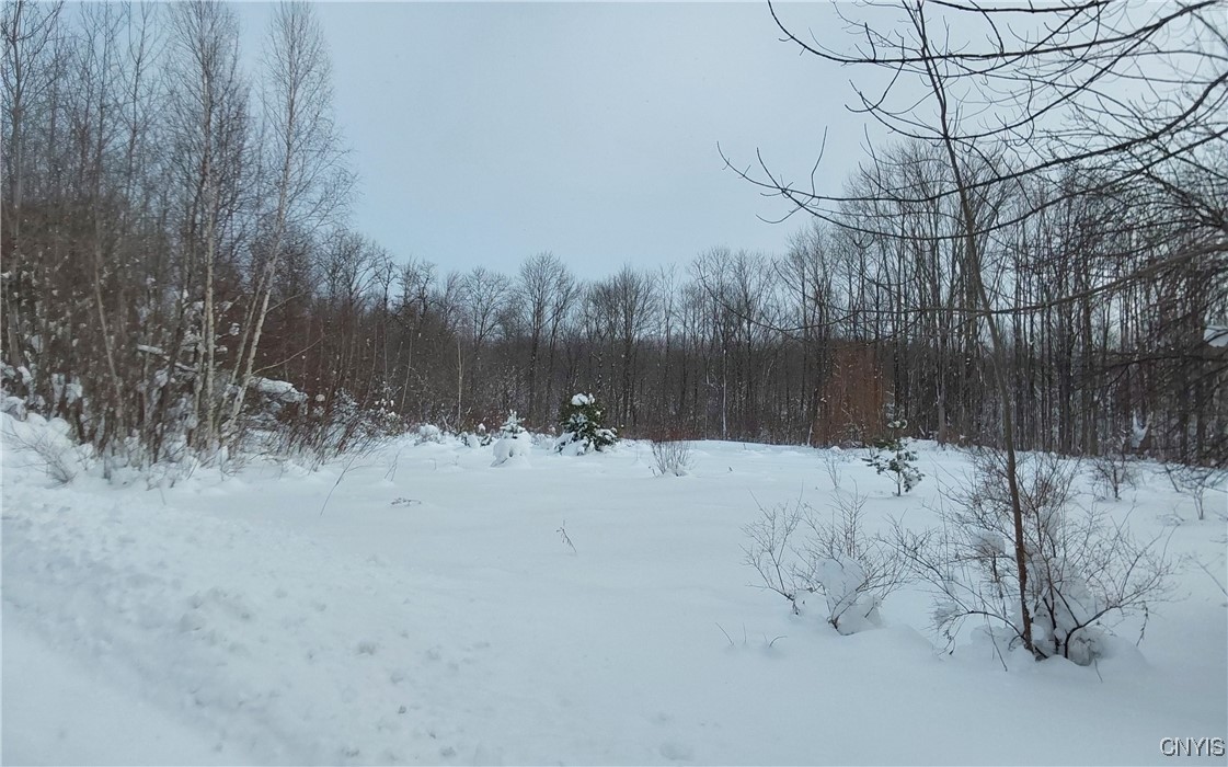 365 Nys Rt Prospect, NY 13435 - Photo 15 of 19