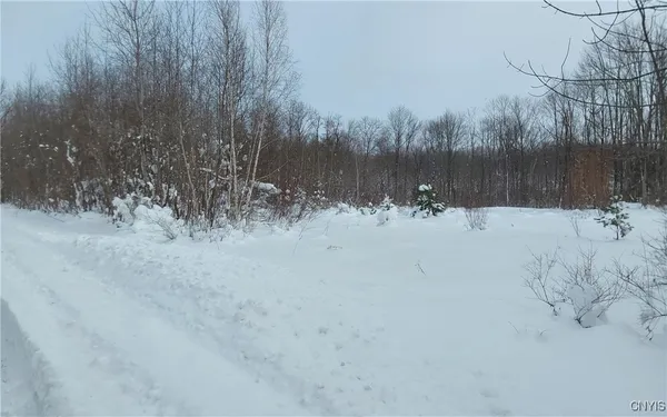 $59,900 | 365 Nys Rt, Prospect, NY 13435