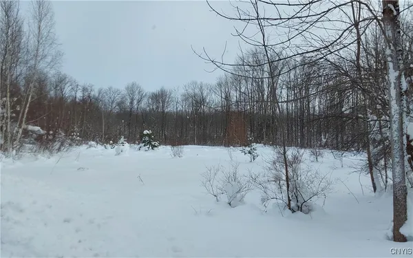 $59,900 | 365 Nys Rt, Prospect, NY 13435