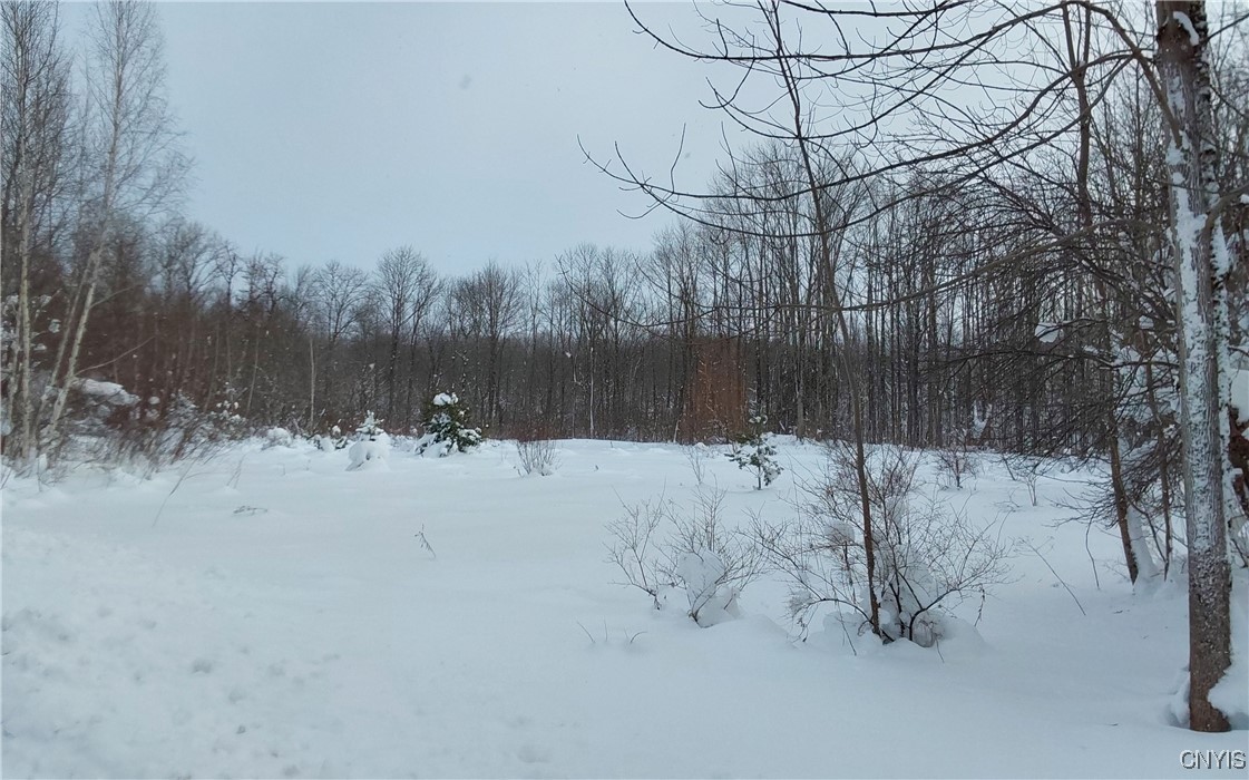 365 Nys Rt Prospect, NY 13435 - Photo 18 of 19