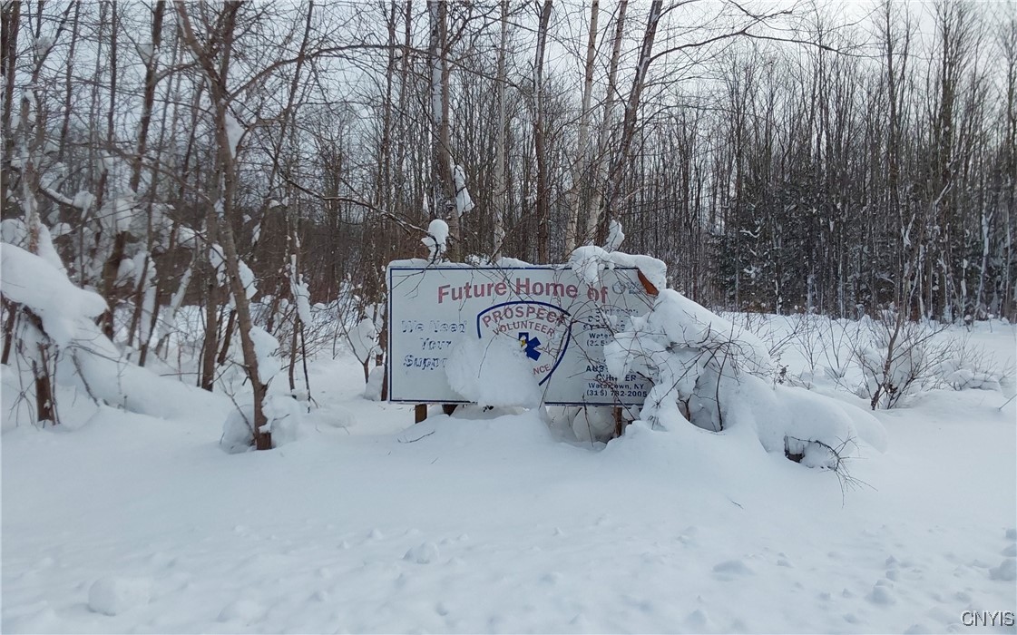 365 Nys Rt Prospect, NY 13435 - Photo 19 of 19