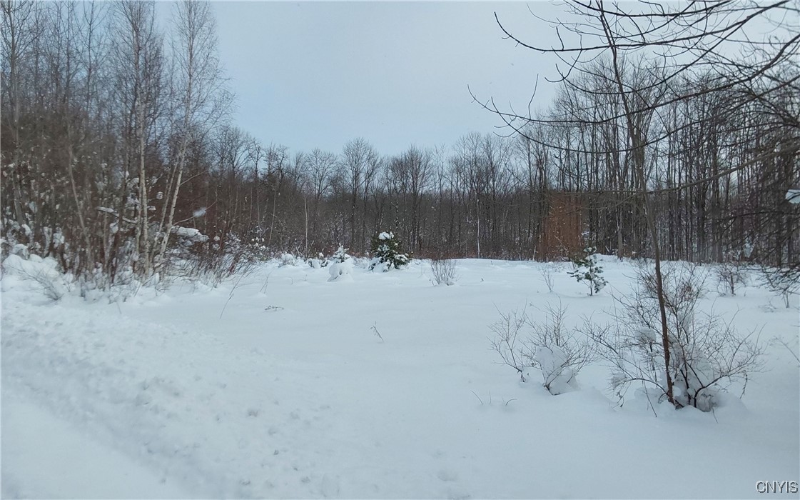 365 Nys Rt Prospect, NY 13435 - Photo 2 of 19