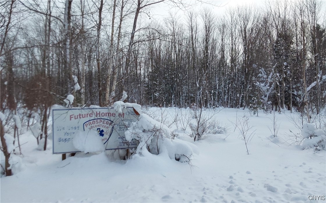 365 Nys Rt Prospect, NY 13435 - Photo 3 of 19