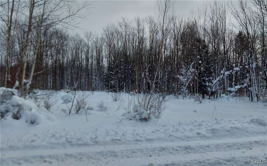 365 Nys Rt Prospect, NY 13435 - Photo 9 of 19