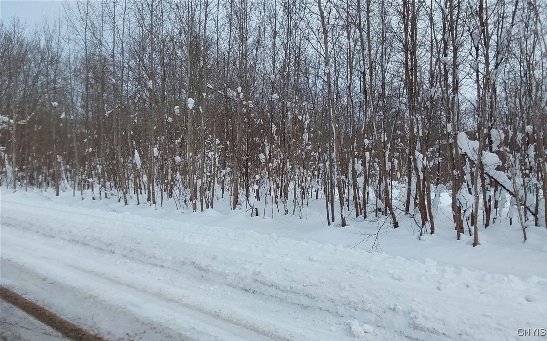 365 Nys Rt Prospect, NY 13435 - Photo 10 of 19