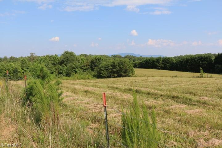 246 Pat Irwin Road Pilot Mountain, NC 27041 - Photo 1 of 29 Gallery Image 1