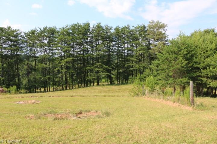 246 Pat Irwin Road Pilot Mountain, NC 27041 - Photo 13 of 29 Gallery Image 13
