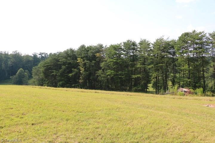246 Pat Irwin Road Pilot Mountain, NC 27041 - Photo 14 of 29 Gallery Image 14
