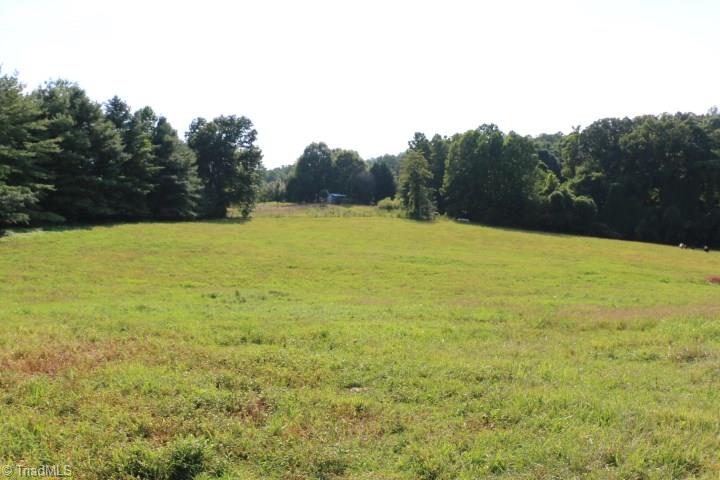 246 Pat Irwin Road Pilot Mountain, NC 27041 - Photo 18 of 29 Gallery Image 18