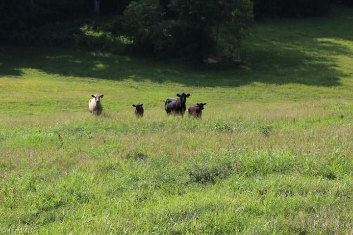 246 Pat Irwin Road Pilot Mountain, NC 27041 - Photo 21 of 29 Gallery Image 21