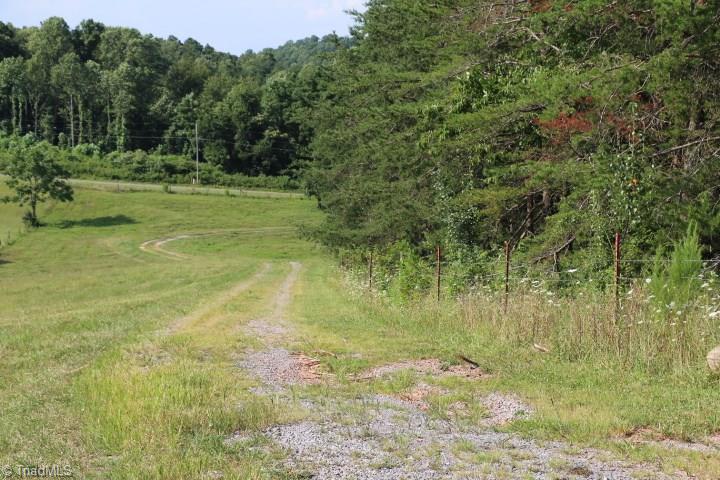 246 Pat Irwin Road Pilot Mountain, NC 27041 - Photo 22 of 29 Gallery Image 22