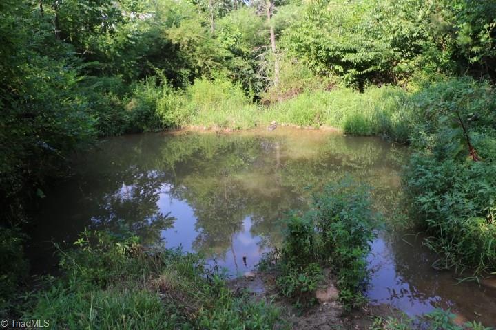 246 Pat Irwin Road Pilot Mountain, NC 27041 - Photo 24 of 29 Gallery Image 24