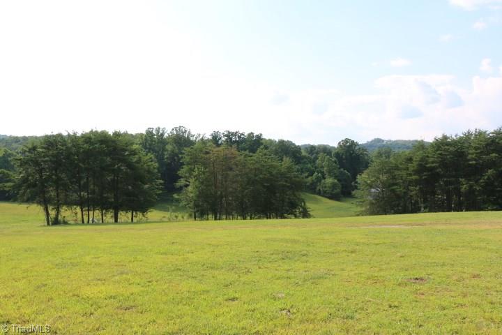 246 Pat Irwin Road Pilot Mountain, NC 27041 - Photo 5 of 29 Gallery Image 5