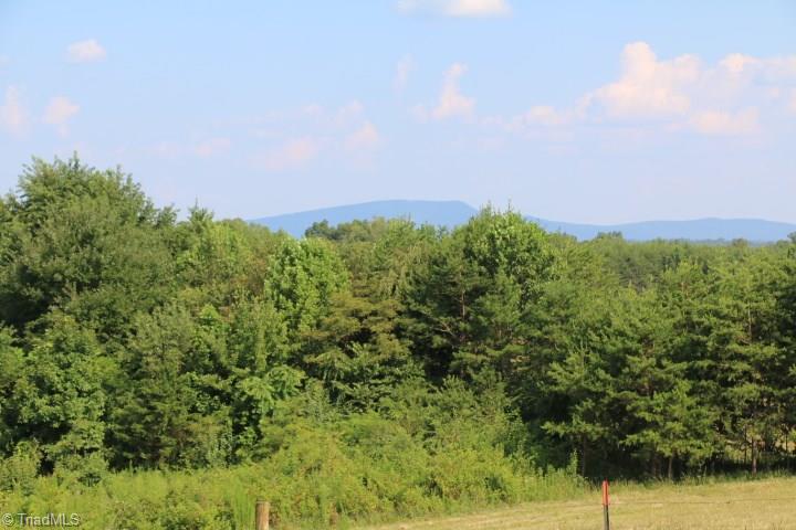 246 Pat Irwin Road Pilot Mountain, NC 27041 - Photo 8 of 29 Gallery Image 8