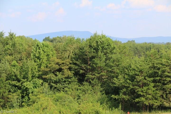 246 Pat Irwin Road Pilot Mountain, NC 27041 - Photo 9 of 29 Gallery Image 9