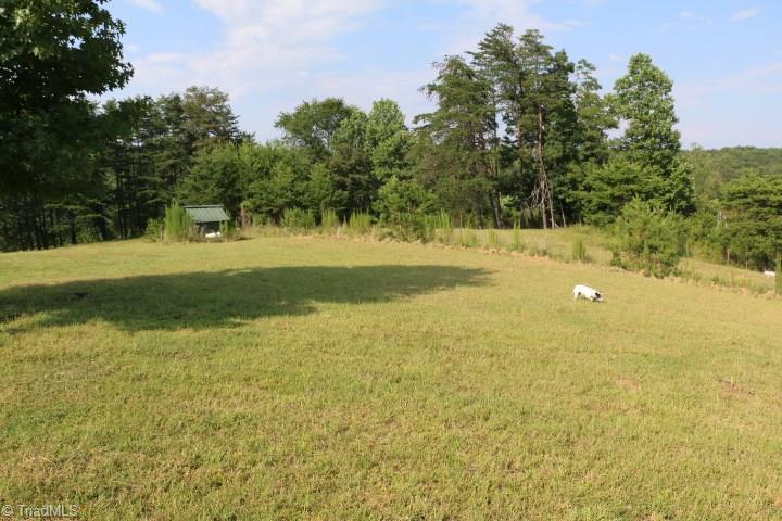 246 Pat Irwin Road Pilot Mountain, NC 27041 - Photo 10 of 29 Gallery Image 10