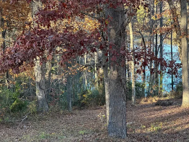 $149,900 | 644 Buck Creek Road, Chesnee, SC 29323