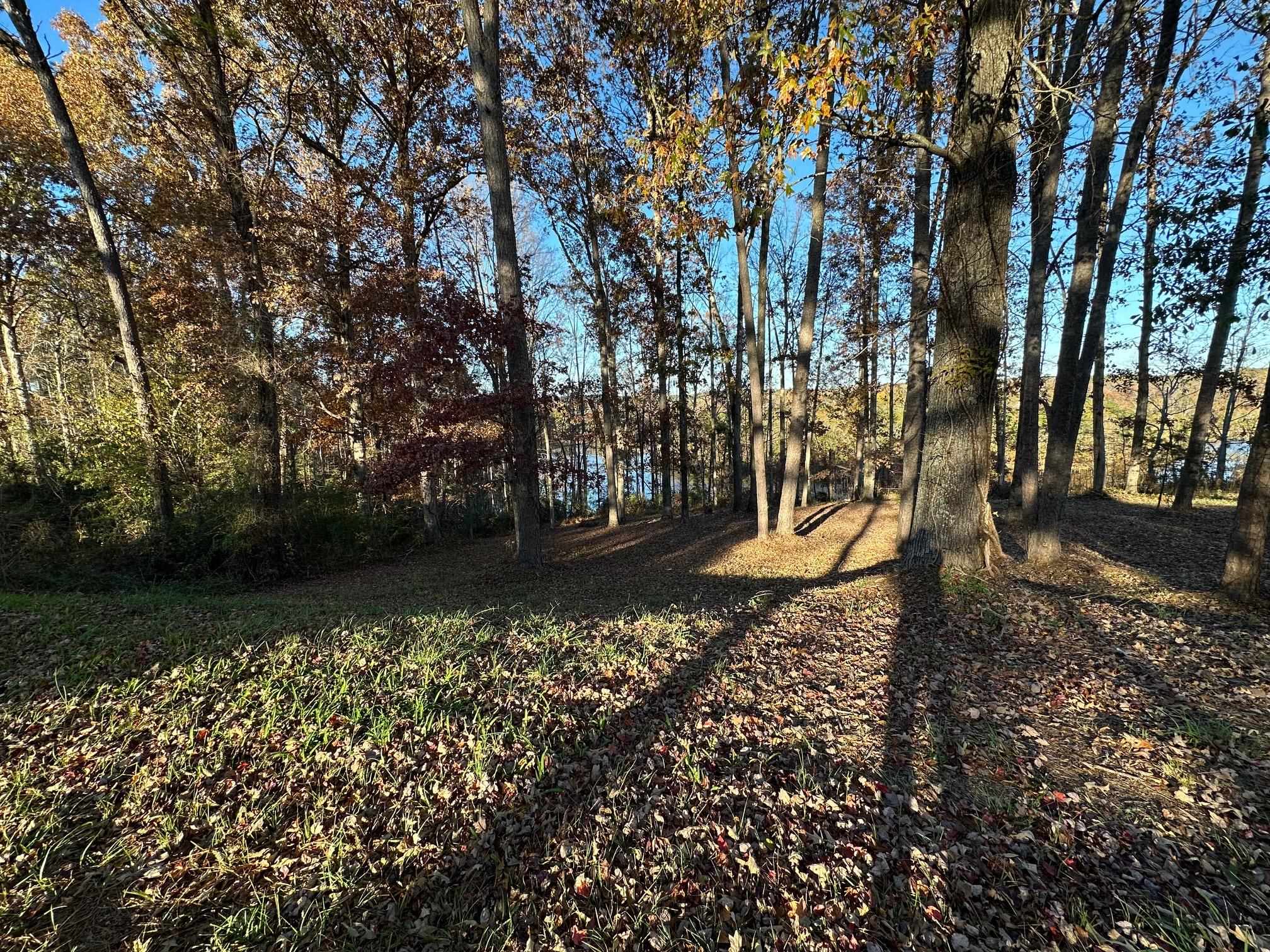 644 Buck Creek Road Chesnee, SC 29323 - Photo 9 of 12 Gallery Image 9